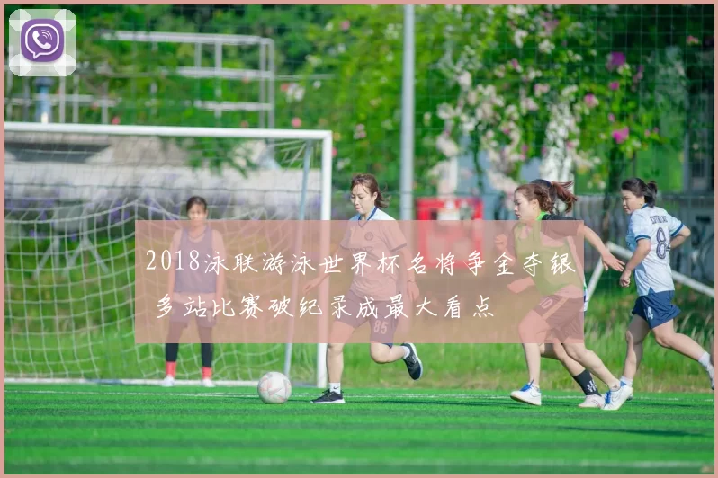 2018泳联游泳世界杯名将争金夺银 多站比赛破纪录成最大看点